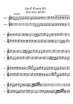 Canon No.1 (for flute duet)